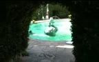 Nick Braso Pool
