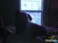 Muscle Hunk!!! Angel Diablo: Typical Day (Part 1)