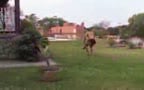 TARZAN