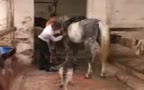 JIRKA AS THE STABLE Twink