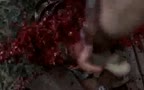 spartacus