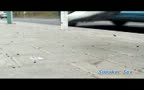 Public Transport Fun