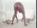 huge black cock