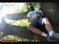 Toby in a tree