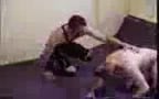 ACTION WRESTLING