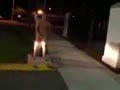 public jerk off