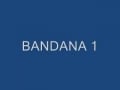 Bandana Guy