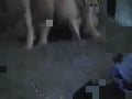 hot sex