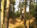 fuck in the wood
