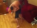 two lads fighting