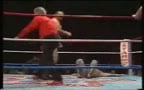 British Wrestling