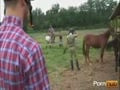 the farm gauys