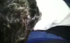 Fuck Faggots Face