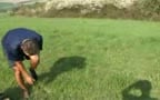Outdoor Wrestling
