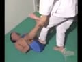 judo and wrestling match