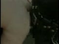 police fuck