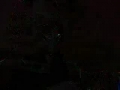 Fuckin