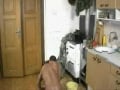 BB Service