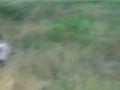 Twinks outdoor wrestling