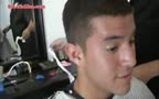 gay
