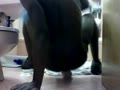 Toy Cam