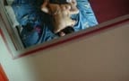 Straight Couple