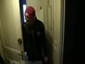 breeded by thug