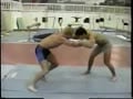 Hot Wrestling