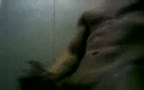 asian