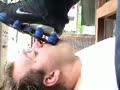 Licking Shox