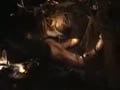 jp