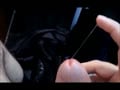 cumpilation