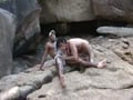 BRAZILIAN BEACH BANG