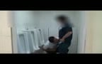 Toilet fun