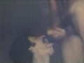 cock suker
