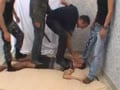 Multiple Trampling