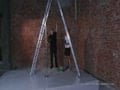 whipping captives2