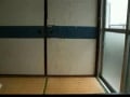 sexy japan