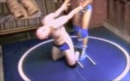 Pro Wrestling Fantasy