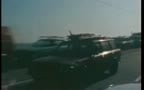 SURF, SAND, SEED