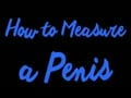 how to measure your penis