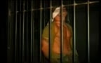 Captured Soldier