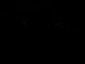 Physicaal