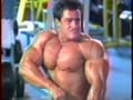 Vintage Muscle 2 
