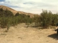 two soldiers
