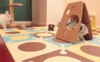 da*dy cat and kitten meet for first time