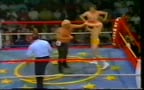 Tag-team Wrestling
