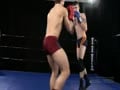 wrestle