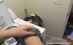 Tropixxx Andy