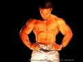 muscle